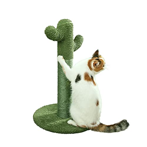 PetnPurr Kaktus-Kratzbaum für Katzen – Schützen Sie Ihre Möbel mit Kratzbäumen...