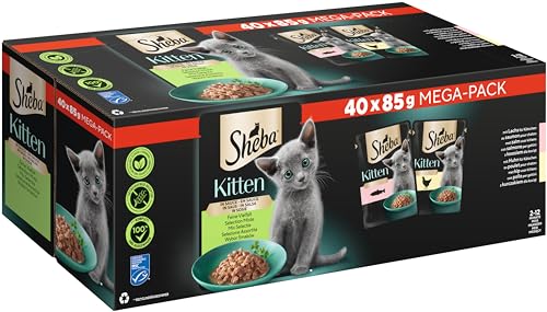 Sheba Katzen Nassfutter für Kitten im Portionsbeutel Feine Vielfalt mit Lachs (MSC)...