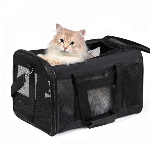 HITSLAM hundebox Faltbar Hundetransportbox Katzentransportbox Katzenbox Transportbox...