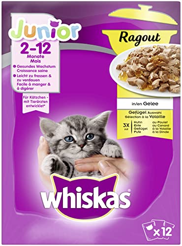 Whiskas Junior Ragout – Hochwertiges Katzennassfutter in 48 Portionsbeuteln für...