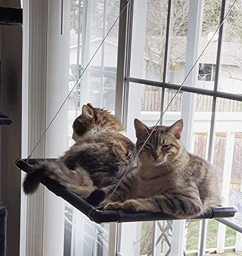 Dracarys Katzen hängematte Fenster | für große Katzen bis 20 kg | Verstärkte...