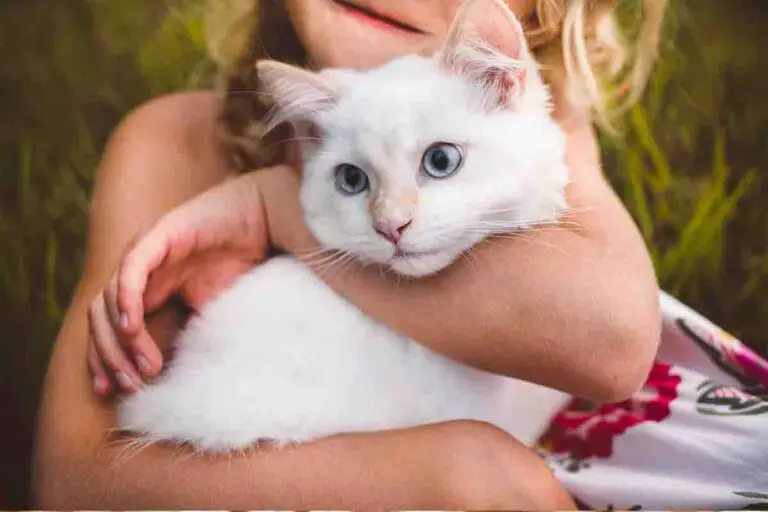 Mächchen hat Katze im Arm