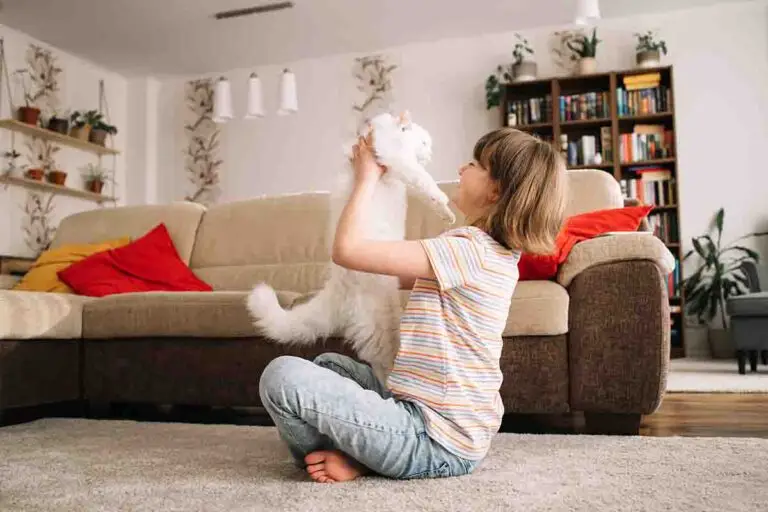 Frau hebt Katze hoch und freut sich – Zusammenleben mit Katze trotz Allergie.